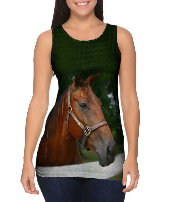 High - Neck Women's Silk Blend Tank Tops for a Luxurious FeelAll Knowing Horse