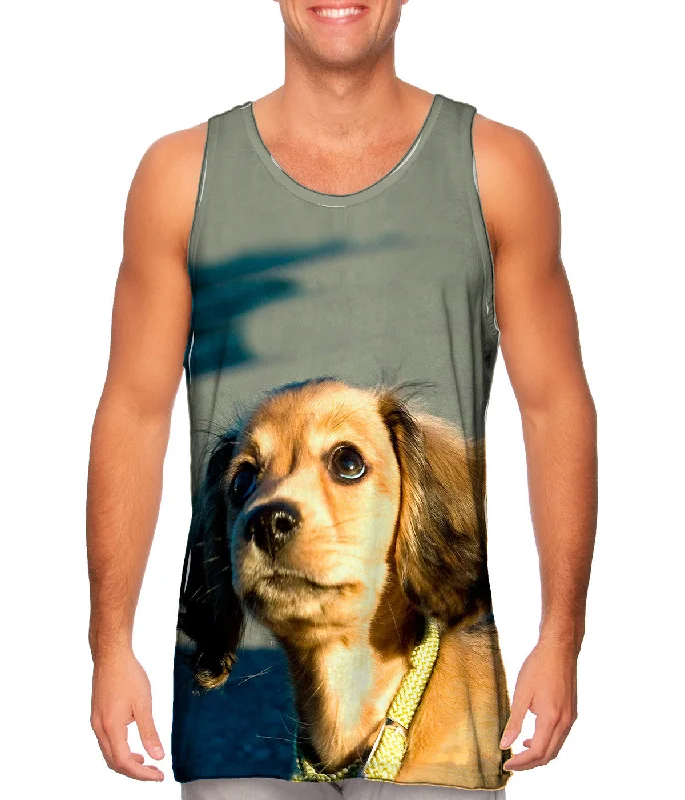Plus Size Women's Embroidered Tank Tops in Boho StylesAmbitious Dachshund Puppy